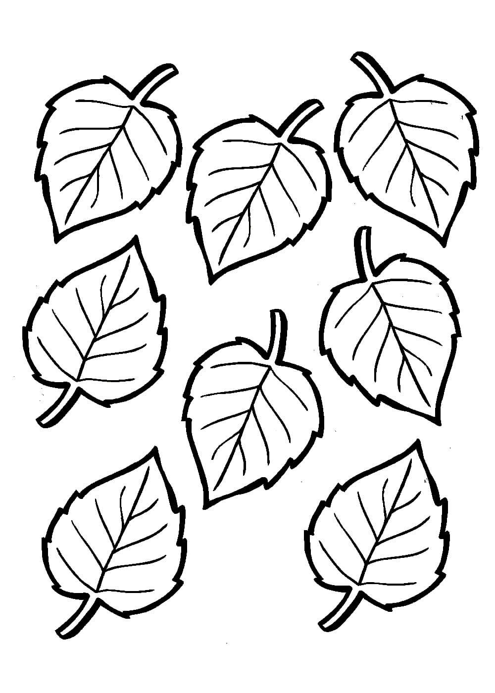 Раскраска листья деревьев для детей
