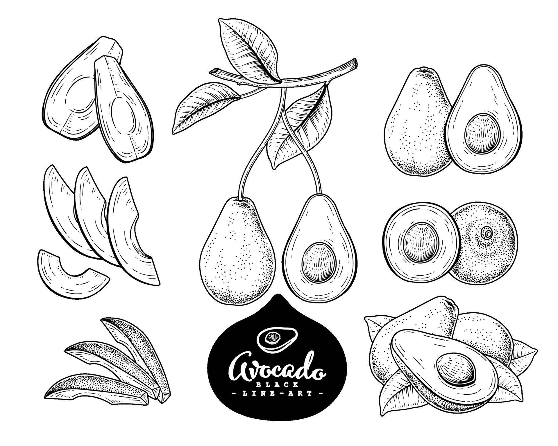Авокадо шаблон для рисования