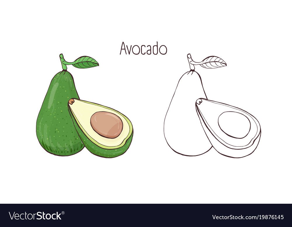 Рисуночки авокадо