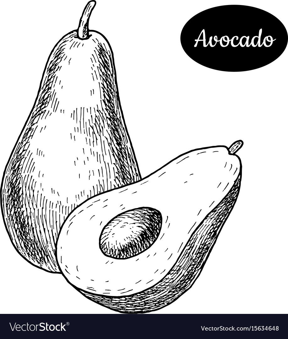 Шаблон авокадо