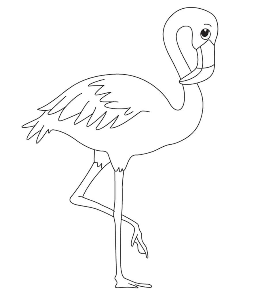 Фламинго для разрисовки