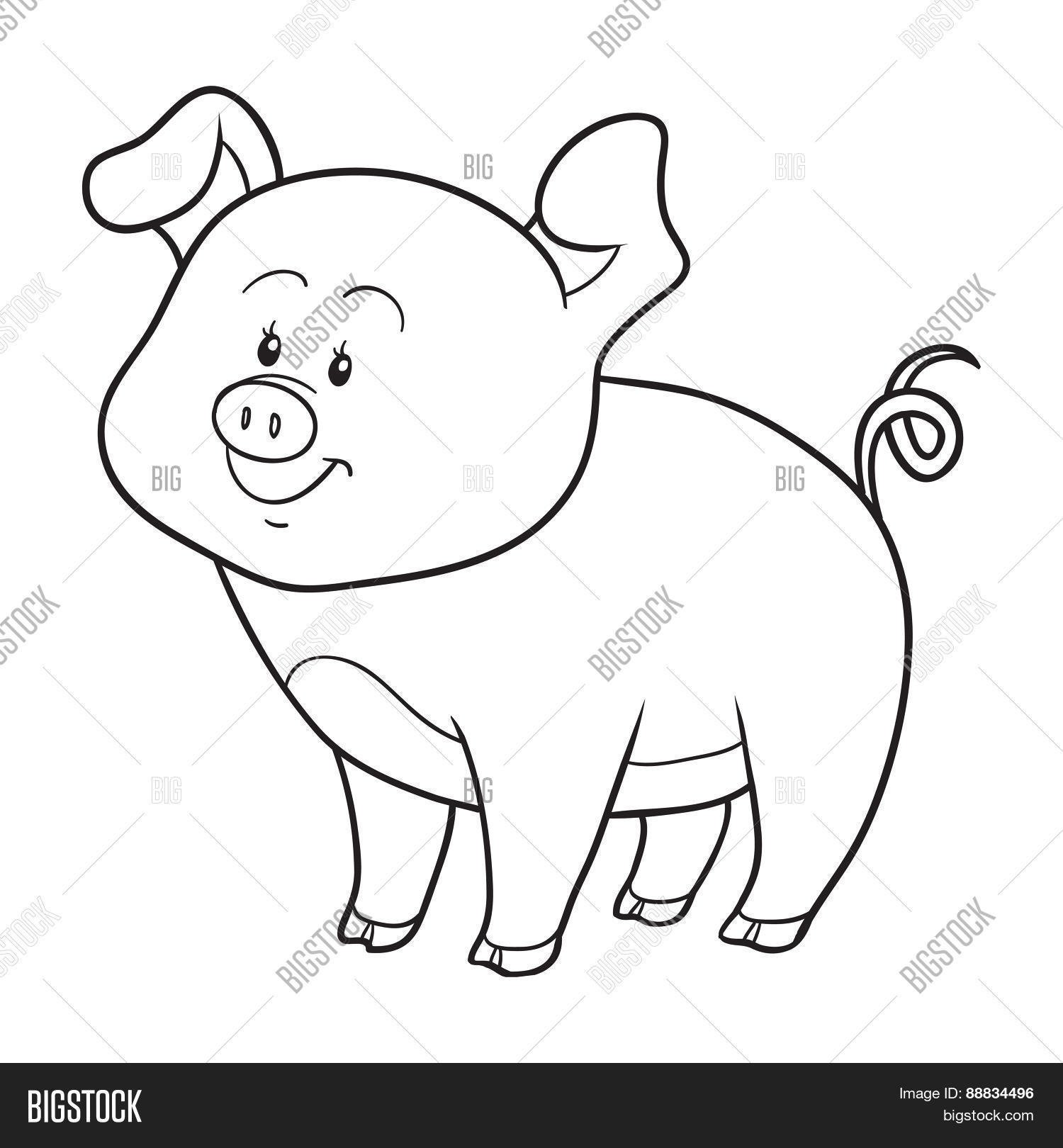 Раскраска свинья для малышей 2-3 лет