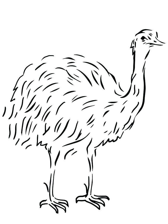 Нарисовать страуса карандашом для детей