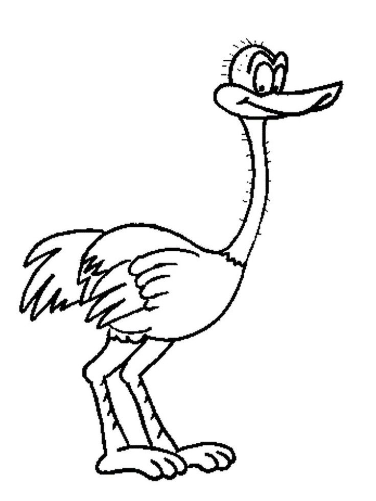 Раскраска страус для детей 3-4 лет