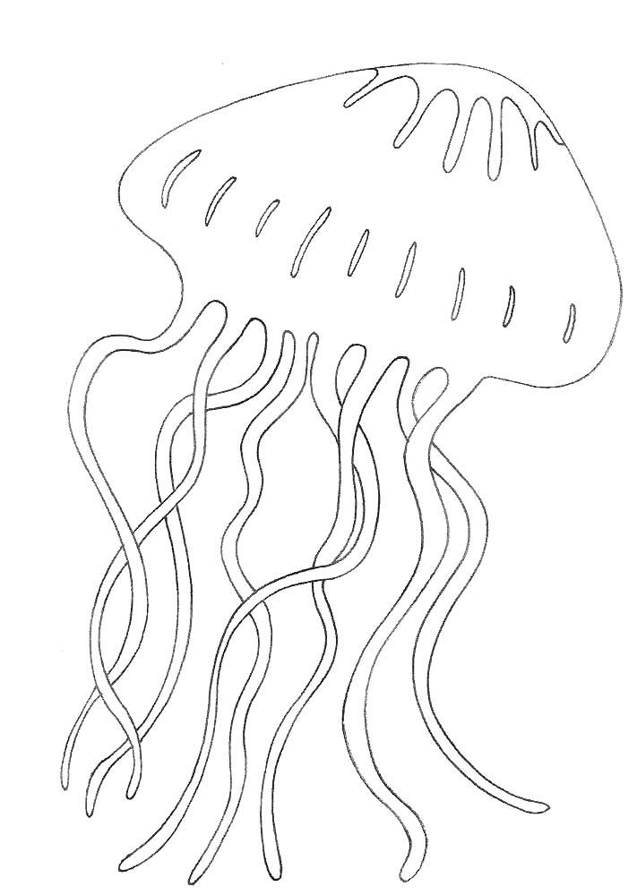 Контур медузы для детей