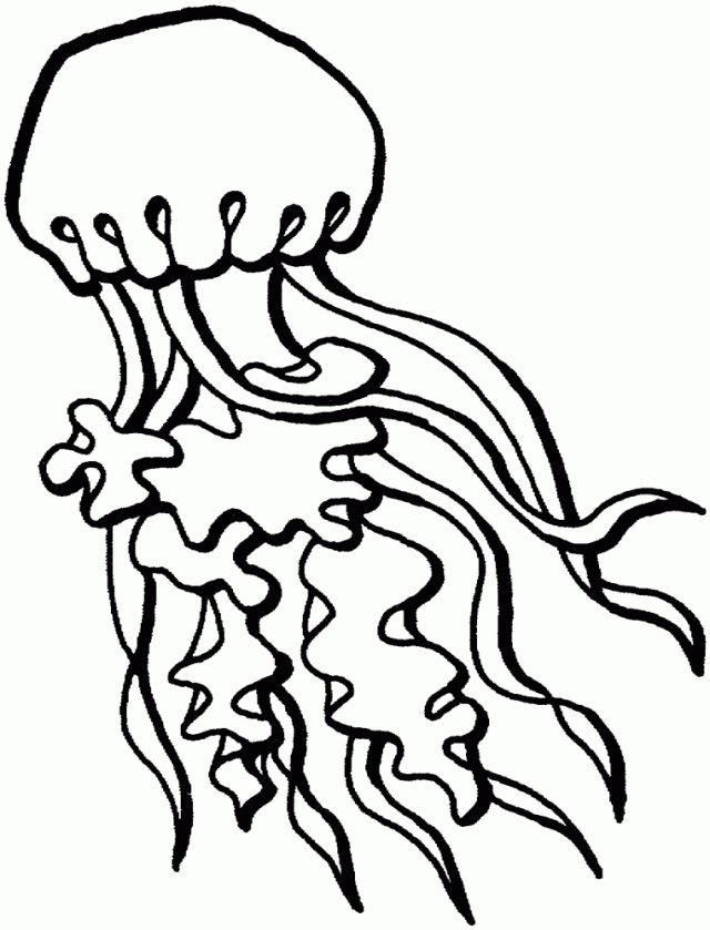Медуза трафарет