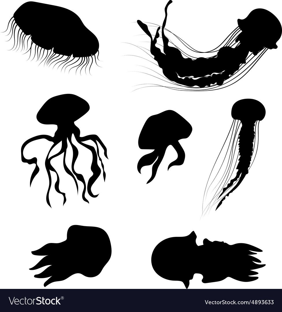 Дудлинг медуза
