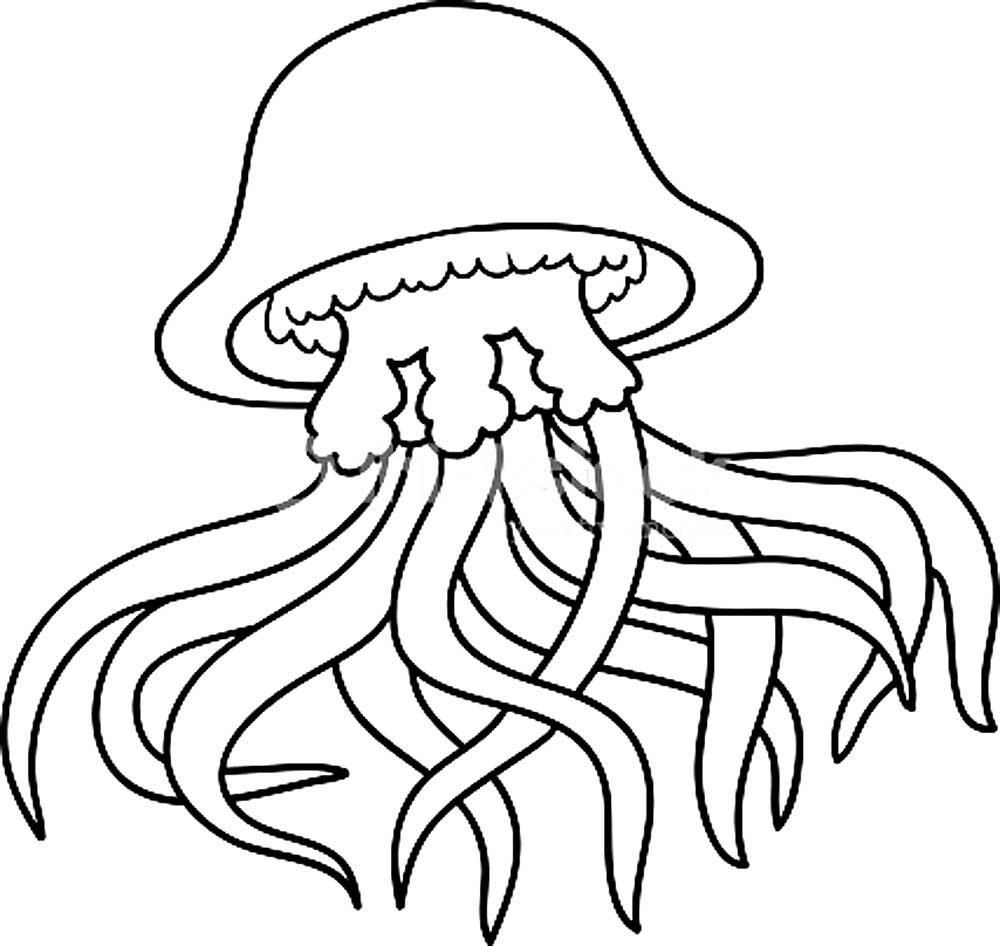 Медуза для срисовки