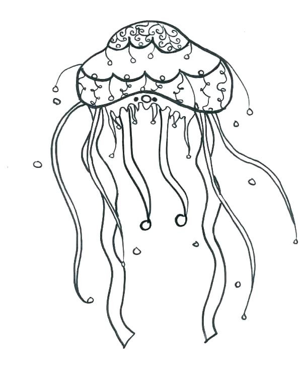 Трафарет медузы для вырезания
