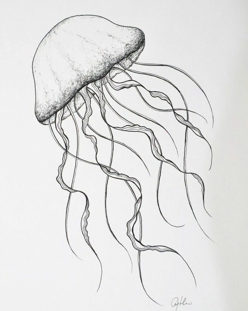 Раскраски антистресс легкие медуза