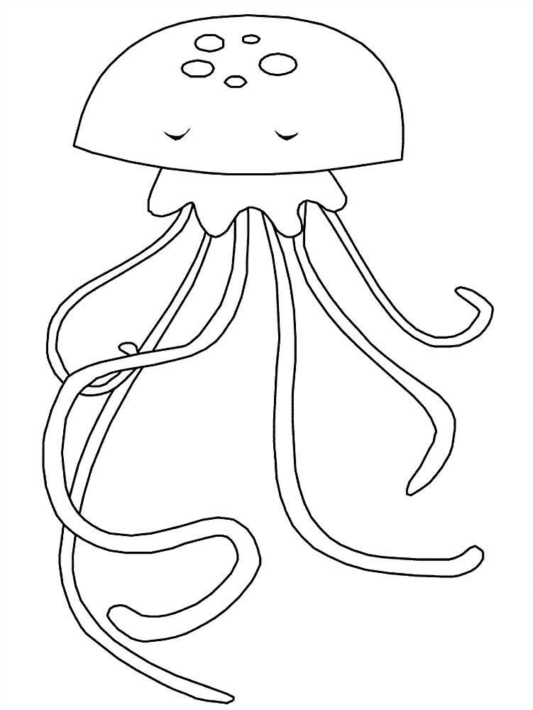 Раскраска морские обитатели медуза