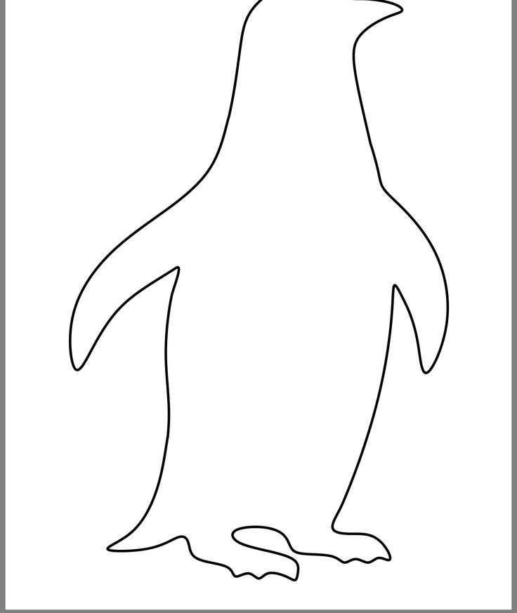 Пингвин черно белый