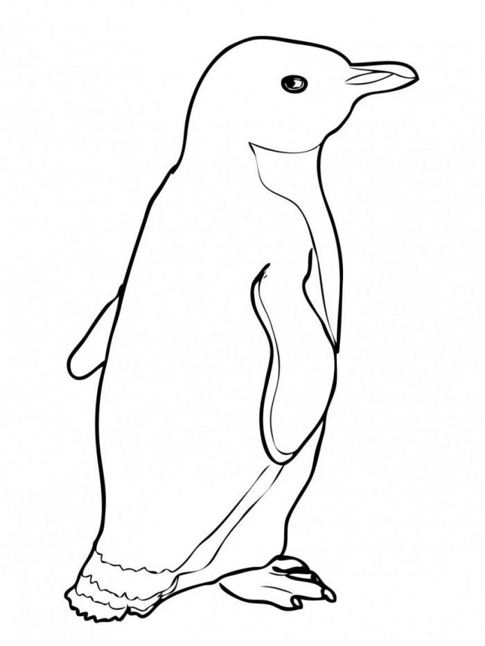 Пингвин контурный рисунок для детей