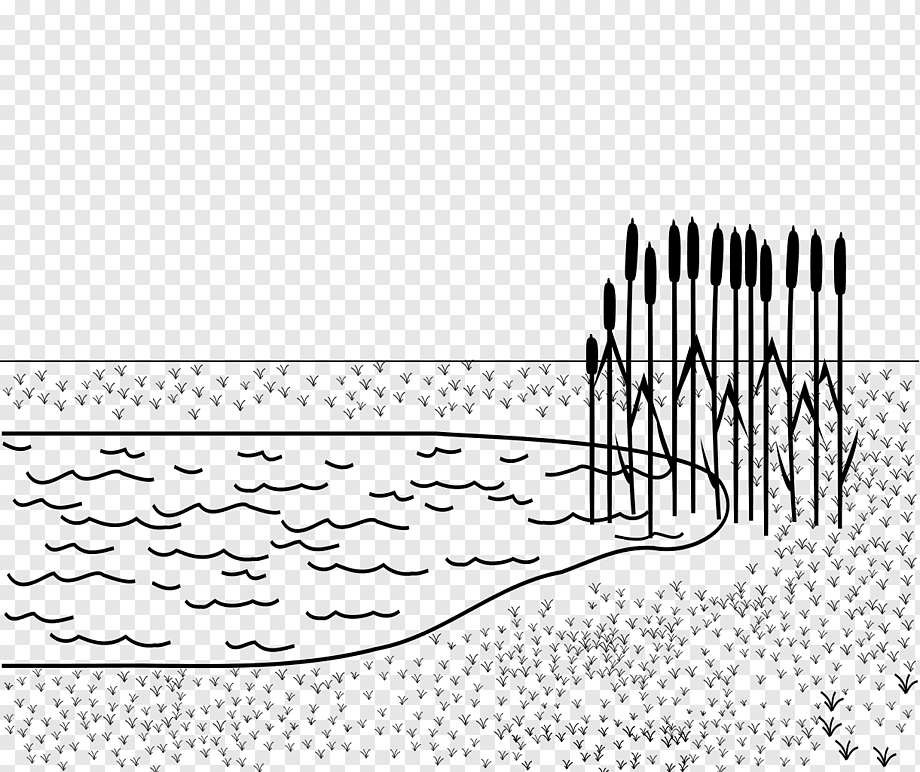Схематичное изображение водоема