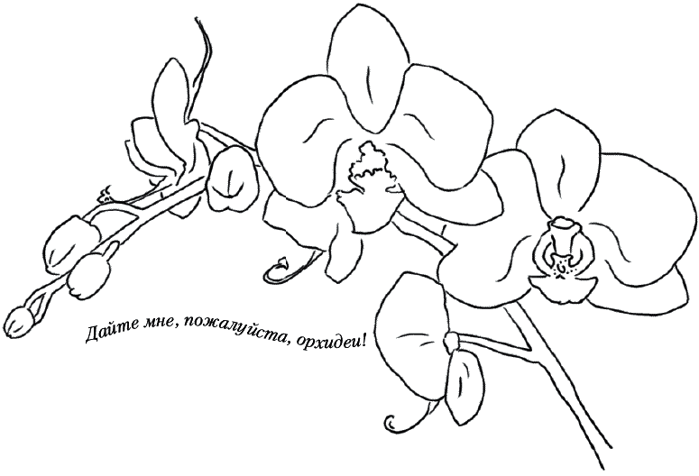 Стилизованная Орхидея