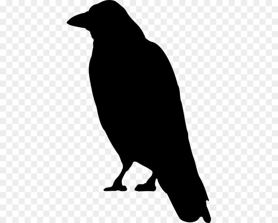 Схематичное изображение ворона