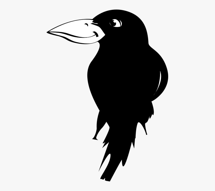 Ворона черно-белая для детей