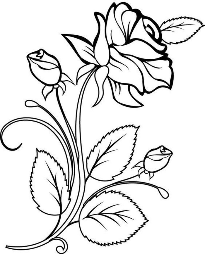 Рисунки для раскрашивания цветы