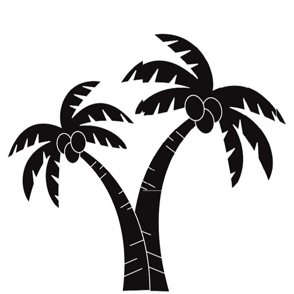 Контур пальмы для рисования