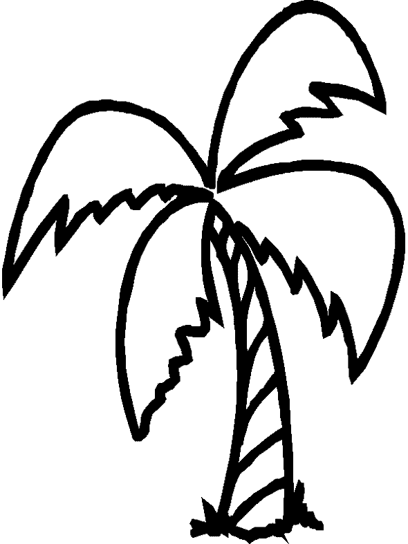 Пальма набросок