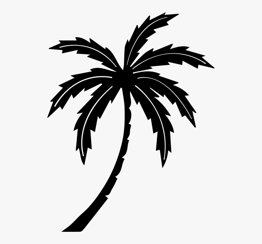 Кокосовая Пальма раскраска