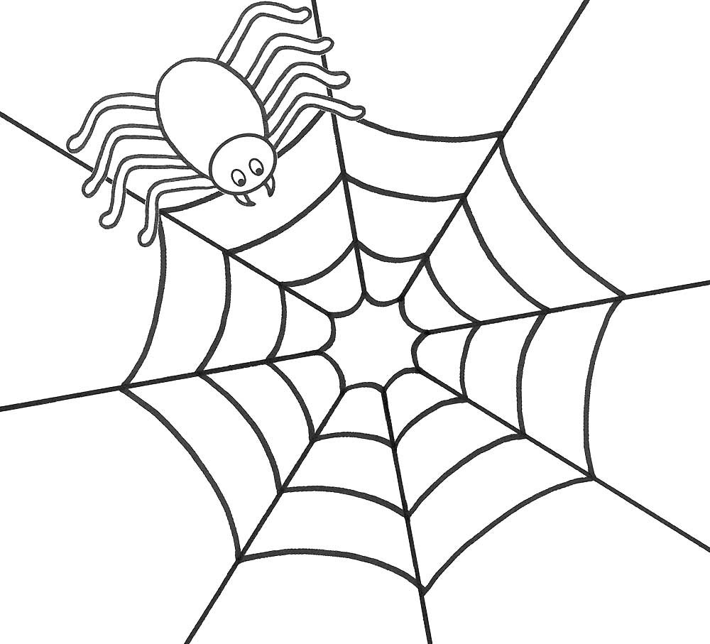 Раскраска паук на паутине