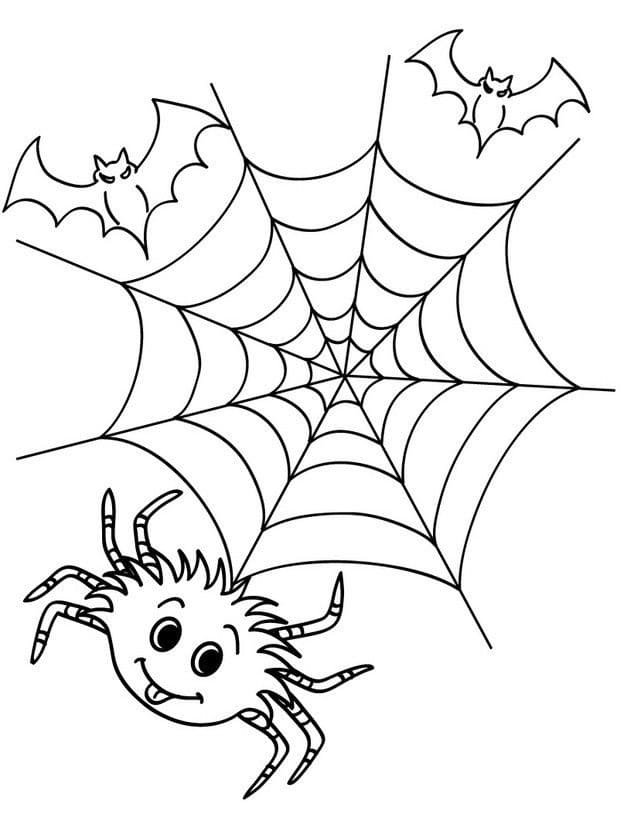 Раскраска паук на паутине