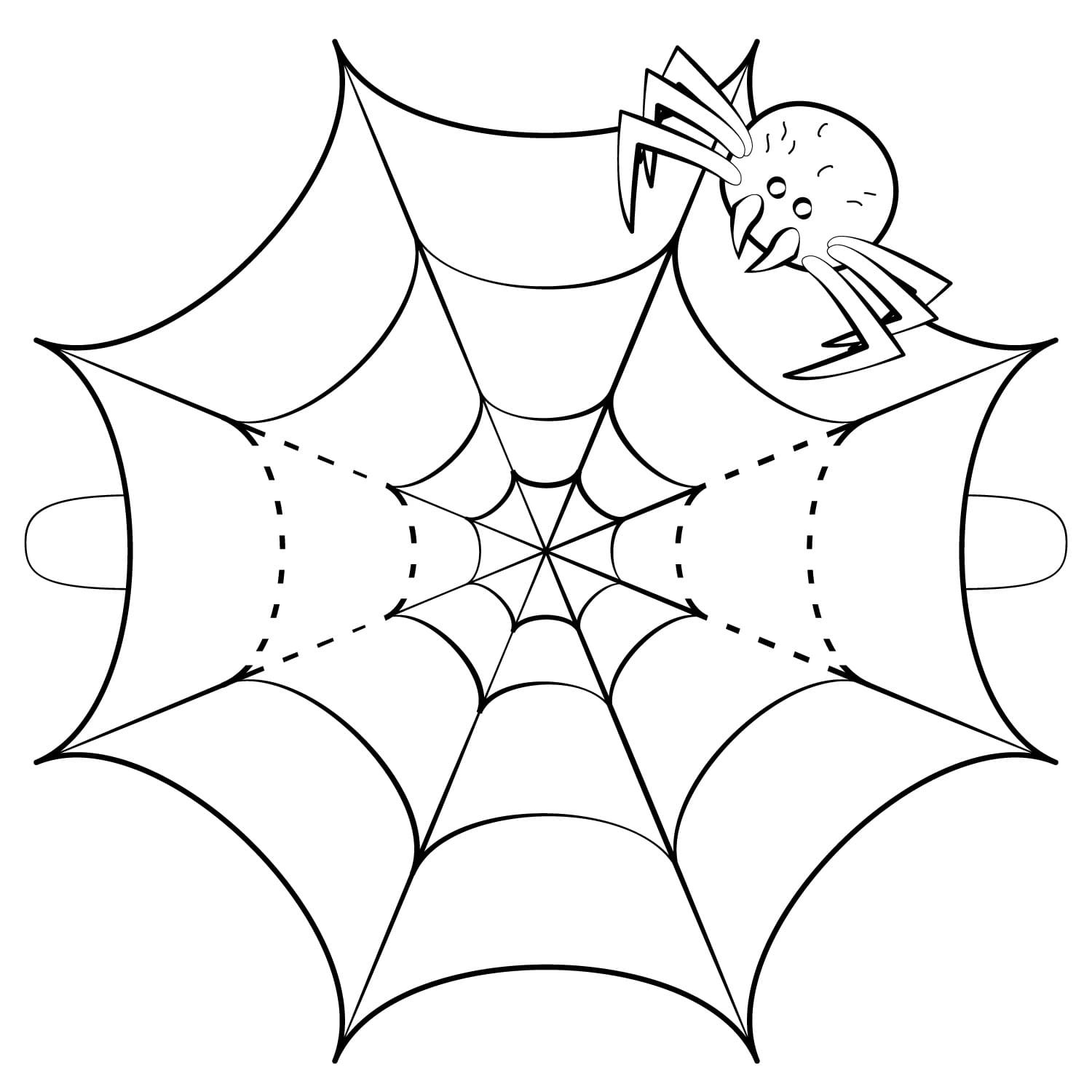 Раскраска паучок на паутине