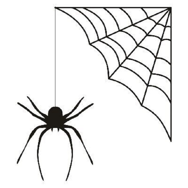 Рисование паутины с паучком