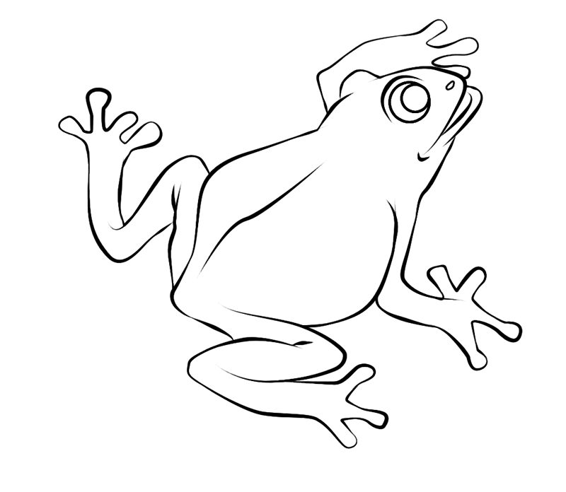 Лягушка квакша рисунок