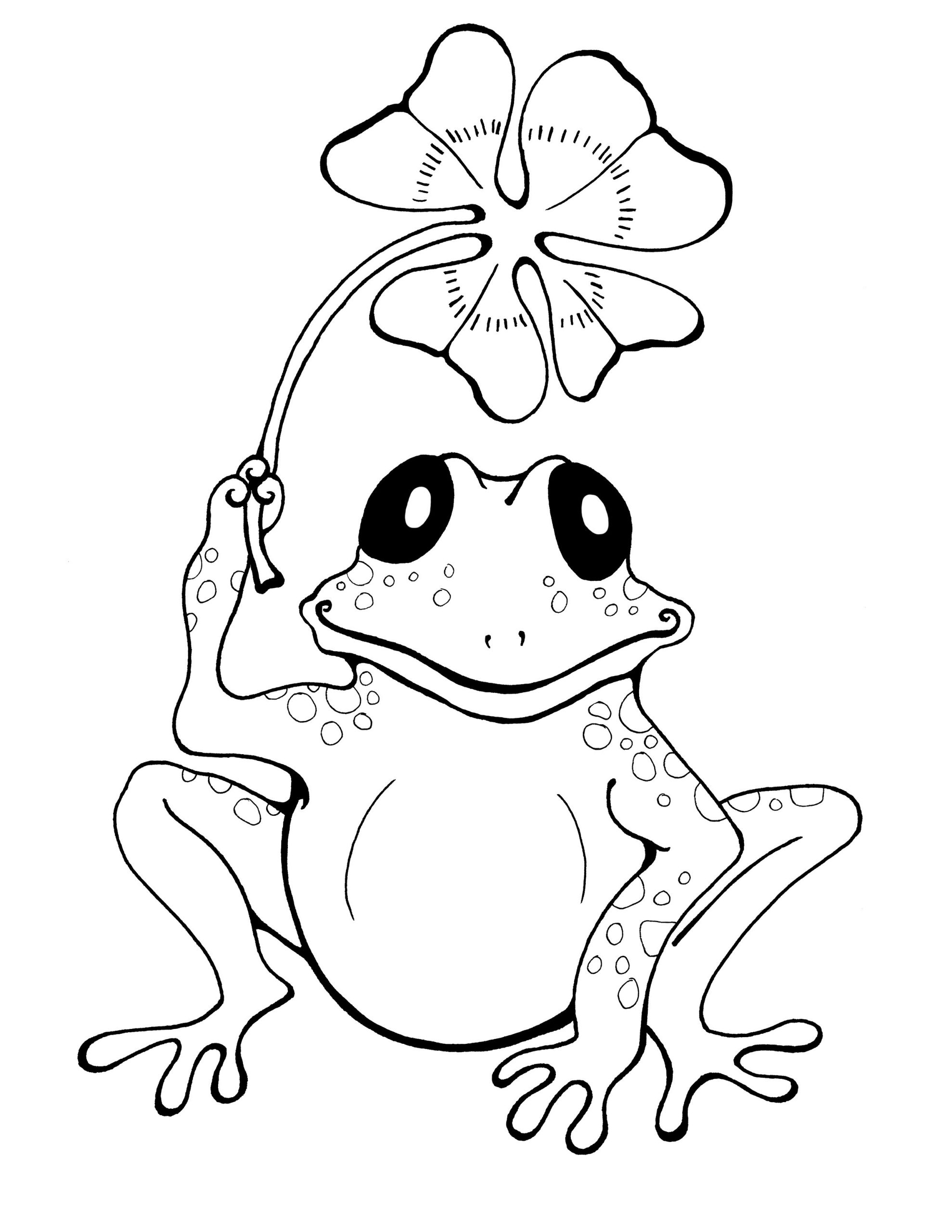 Рисунок лягушки разукрашка