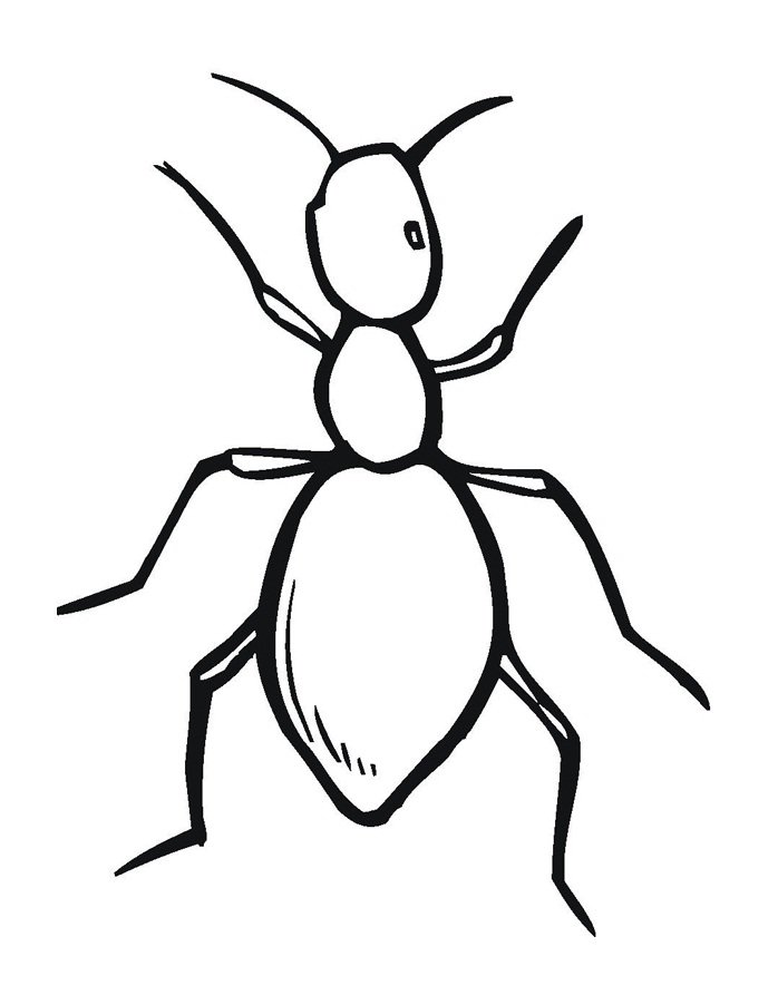 Нарисовать муравьев