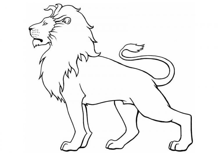 Рисунок Льва для раскрашивания