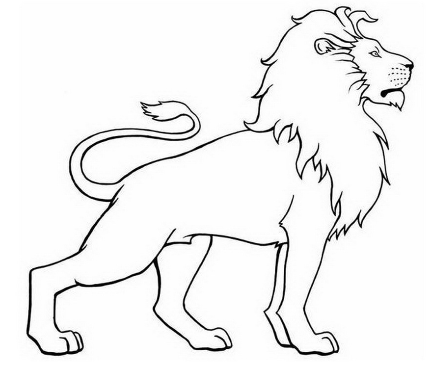 Контуры животных Лев