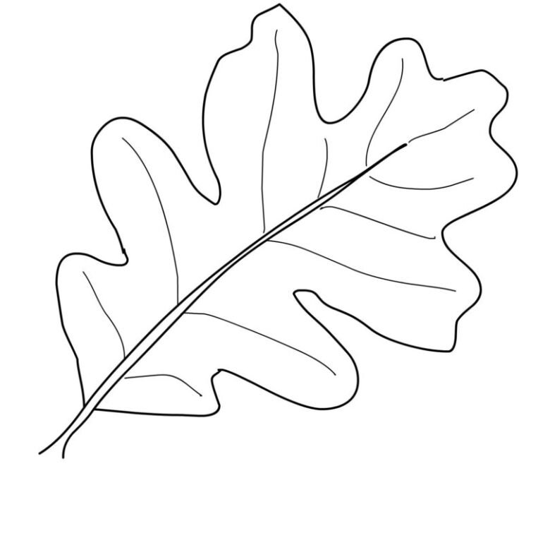Листья раскраска для детей