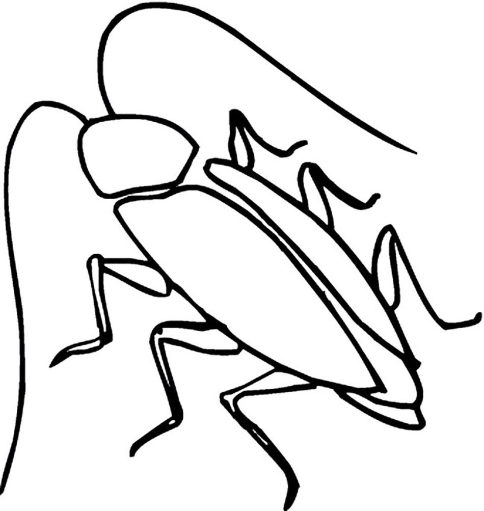 Нарисовать жука