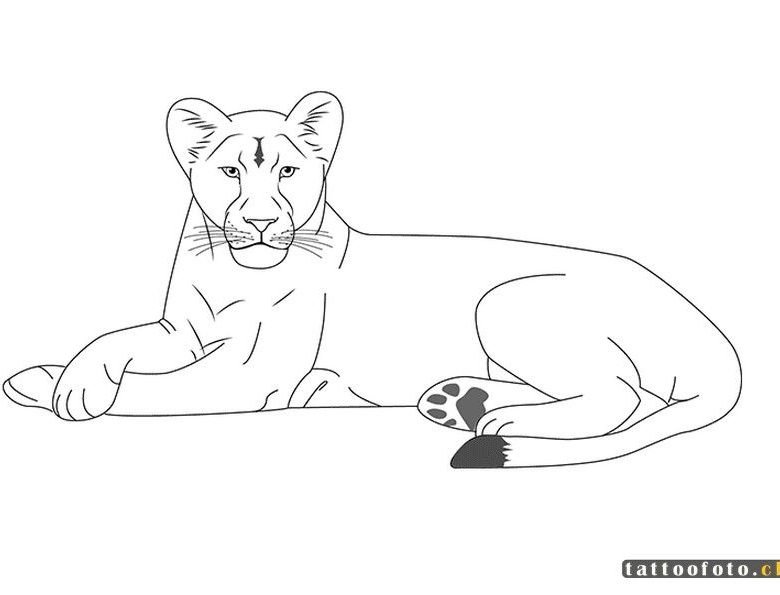 Контурное изображение львица