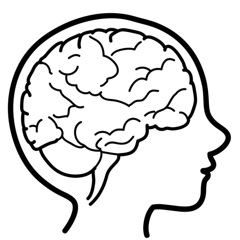 Раскраска головной мозг человека для детей