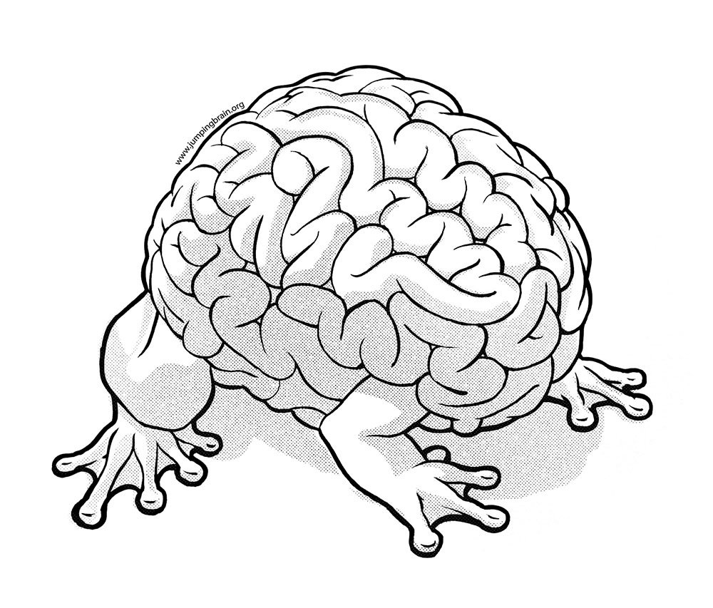 Мозг человека раскраска
