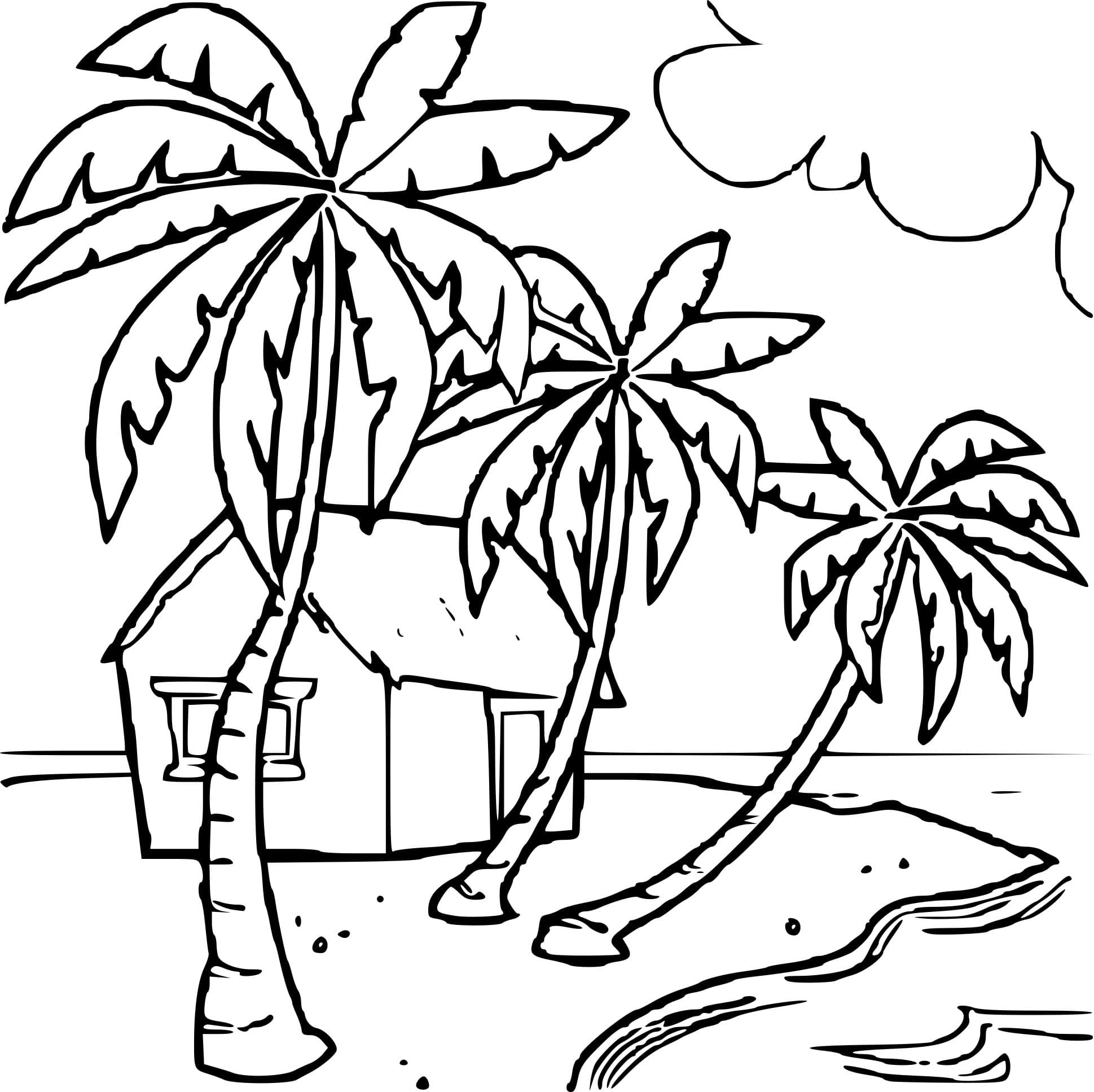 Море пальмы раскраска для детей