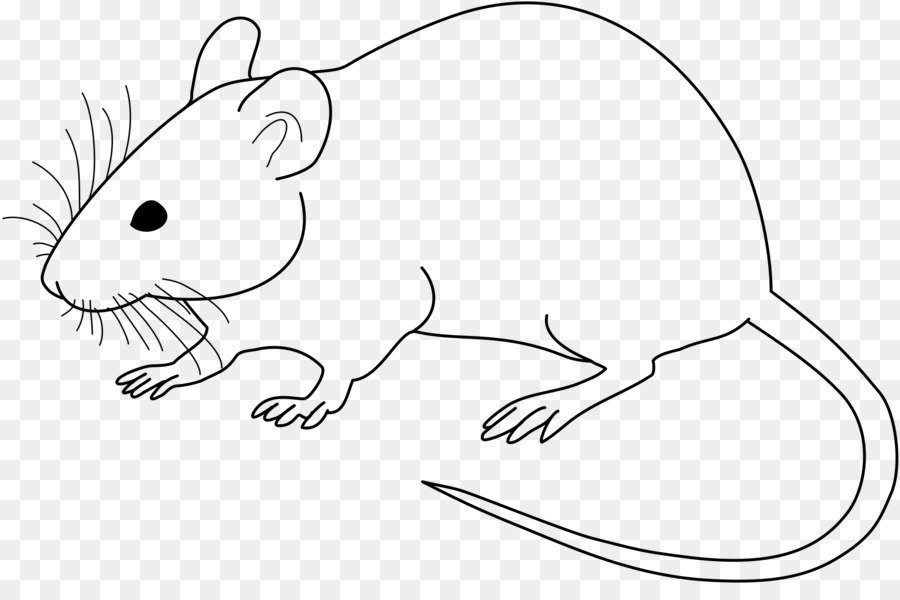 Нарисовать крысу карандашом