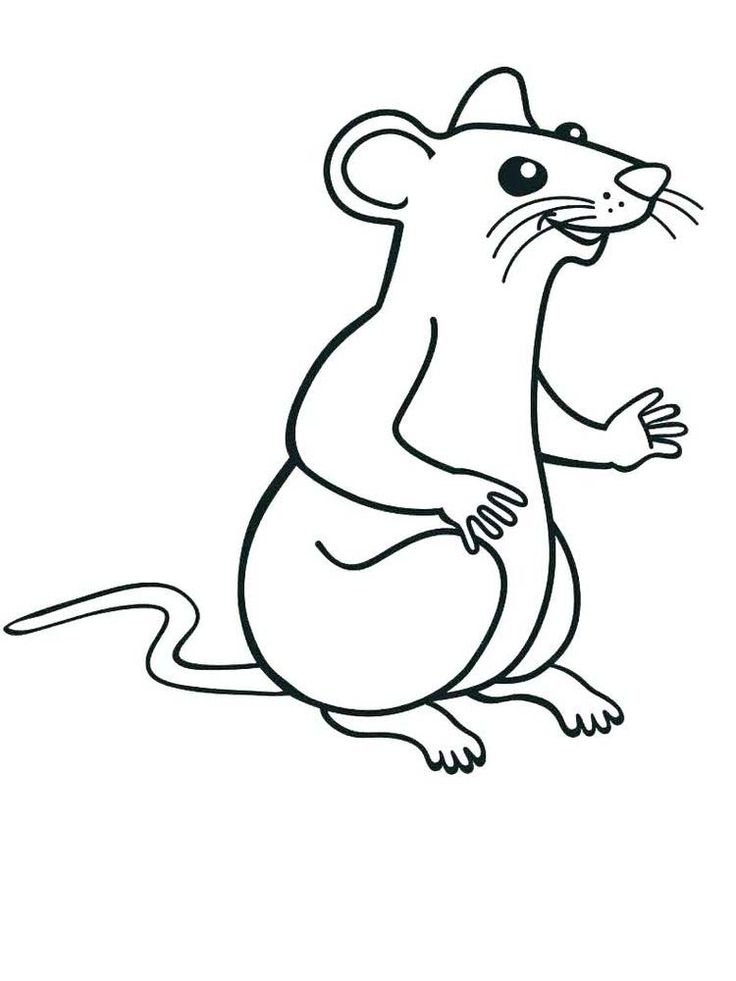 Мышь раскраска для детей