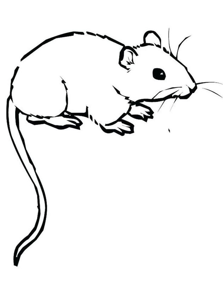 Нарисовать крысу