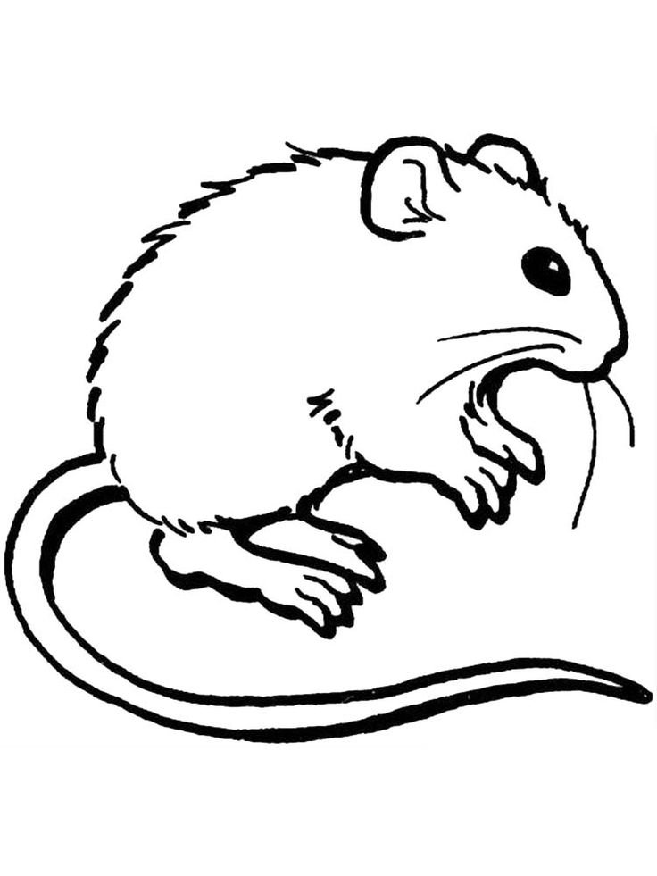Стилизованная мышь