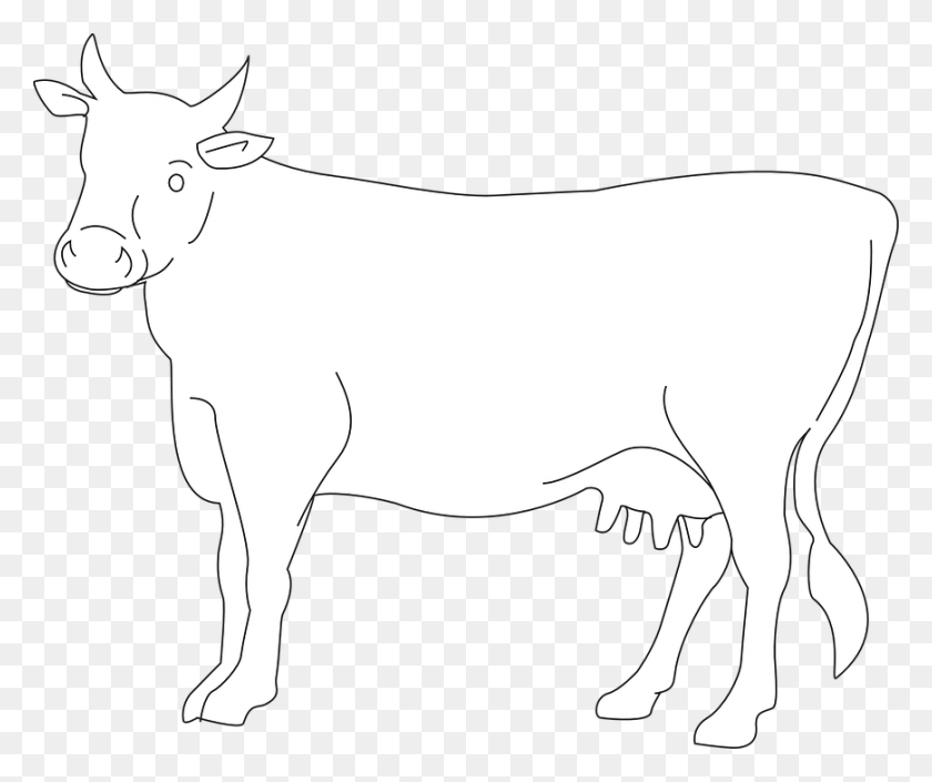 Корова контур