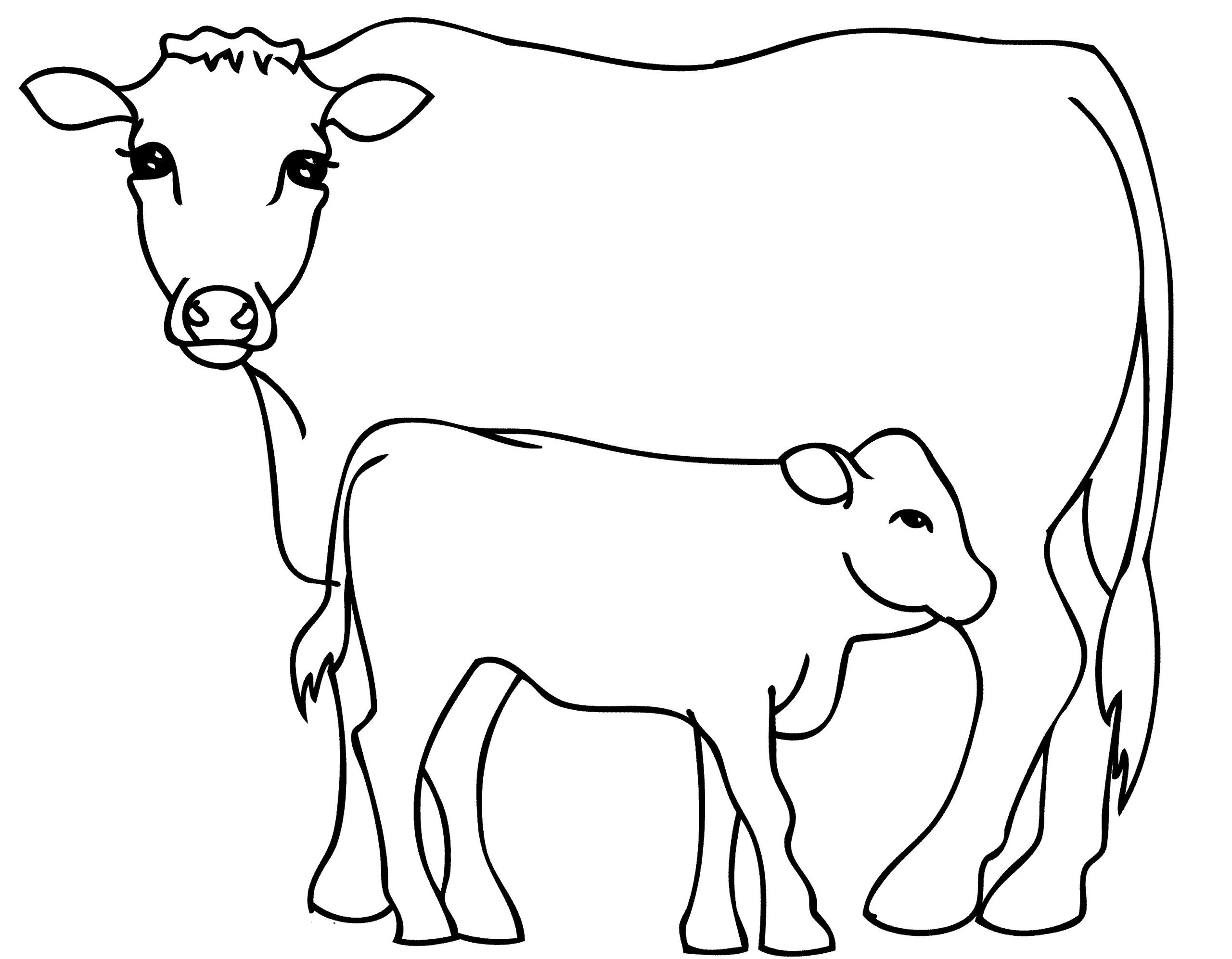 Раскраска корова с теленком