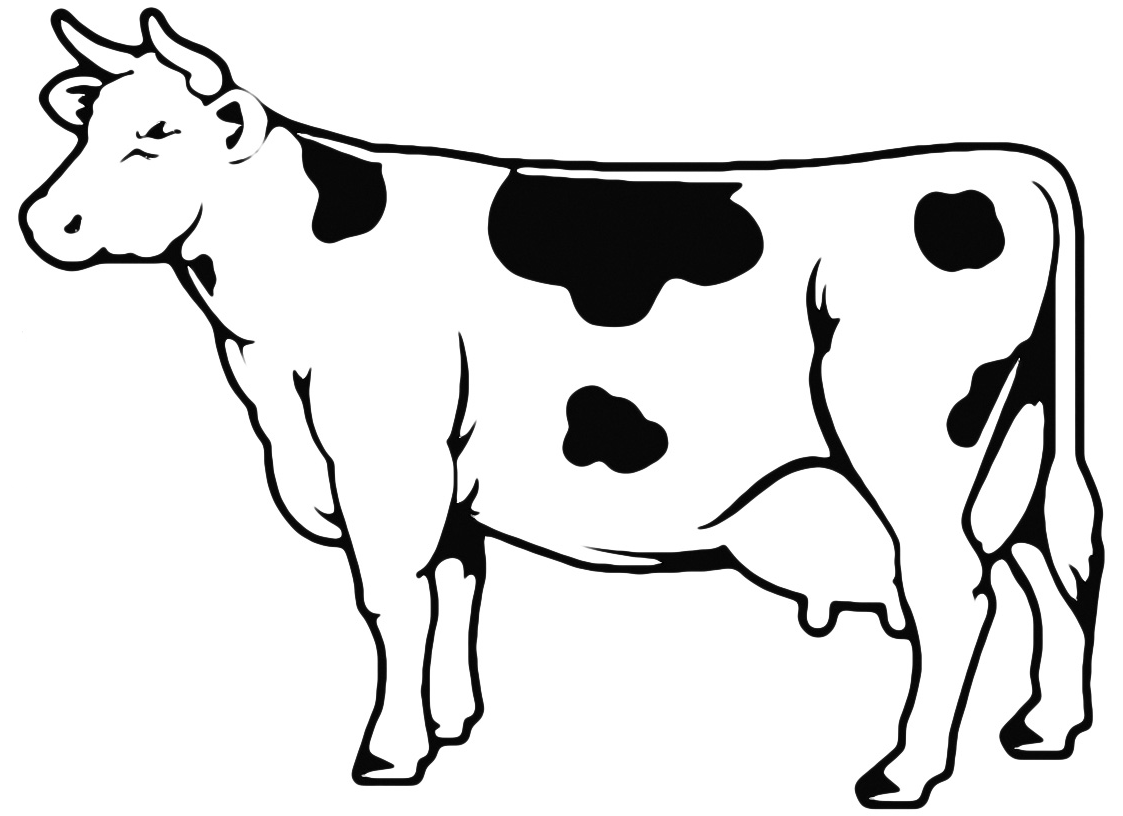 Очертания коровы