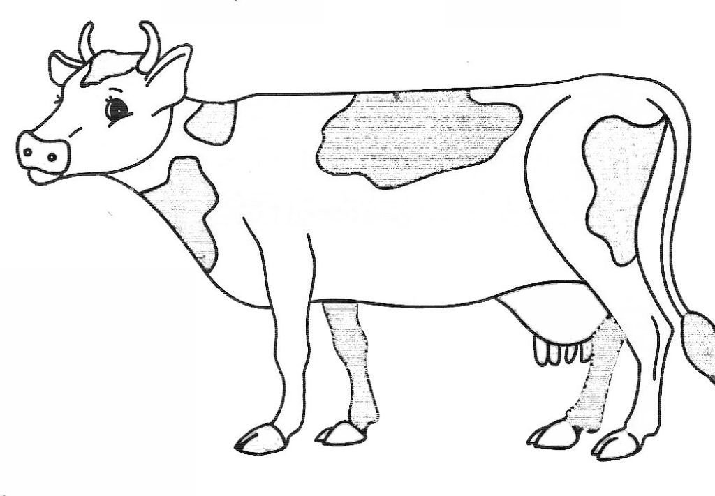 Корова для раскрашивания