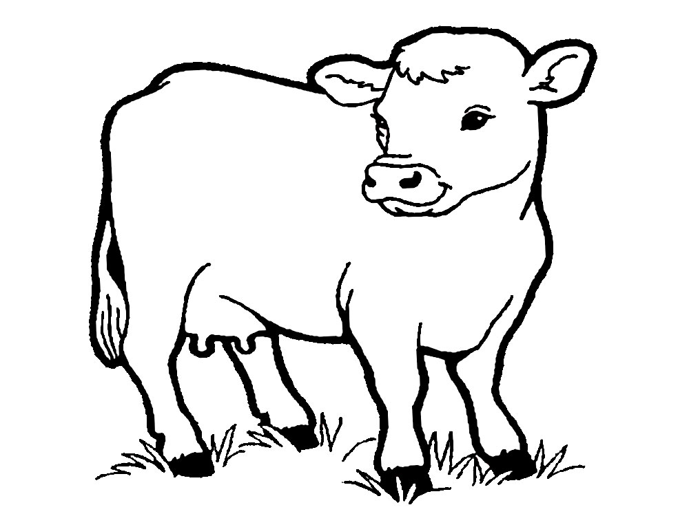 Корова рисунок контур