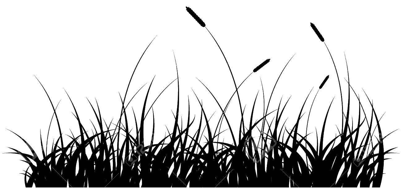 Силуэт травы на прозрачном фоне